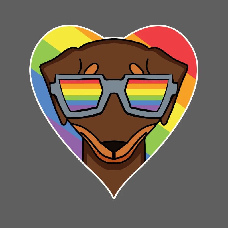 Regenbogen - Hund mit Brille - Dackel