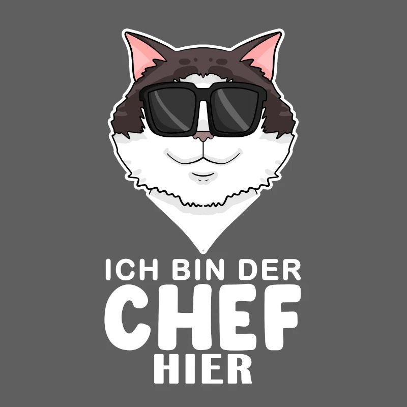 coole Katze - Ragdoll Katze - Chef Spruch
