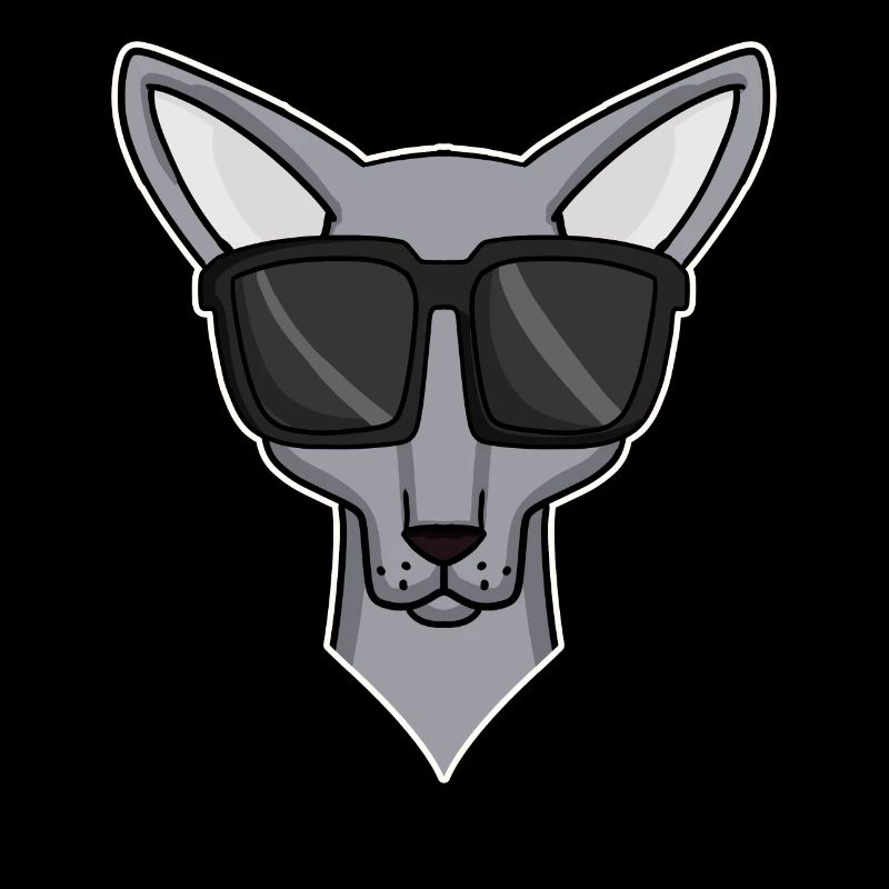 chat cool avec des lunettes de soleil - race de chat Sphynx