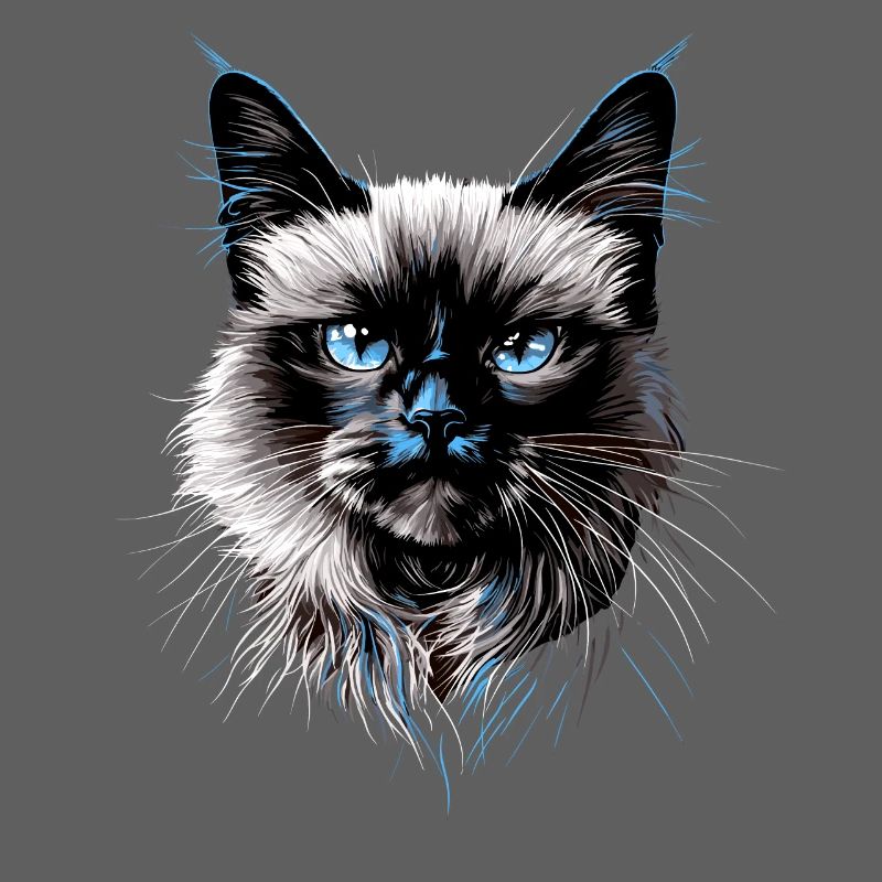 Chat Birman Chat Birman Sacré Chat Birman Mignon Chats Birmans
