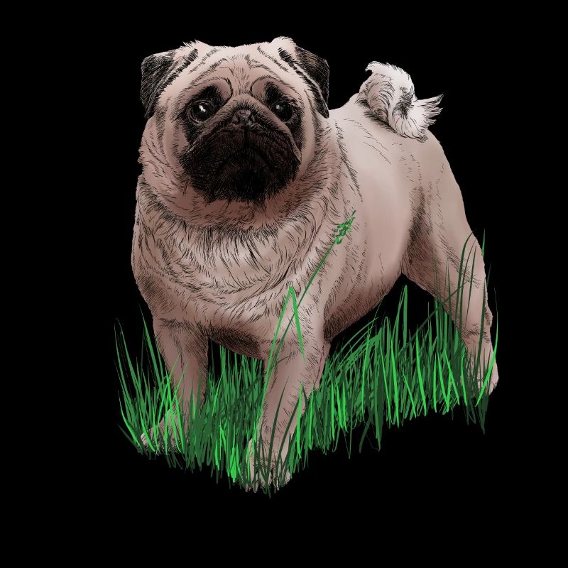 Mops