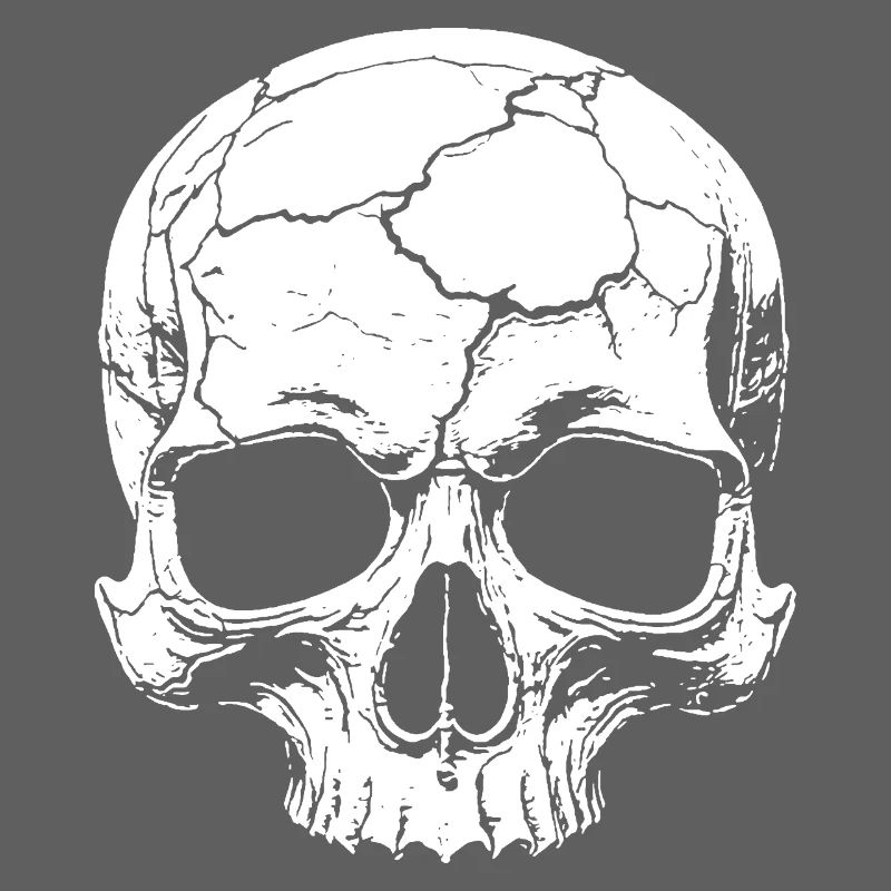 Abstract skull with cracks