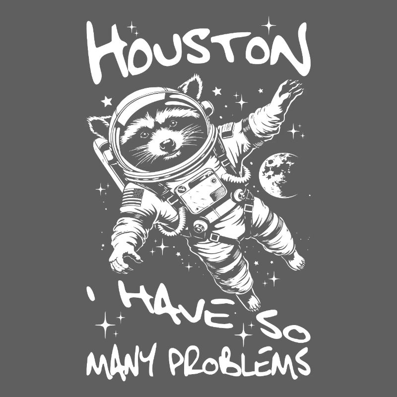 Houston I have so many problems Raccoon