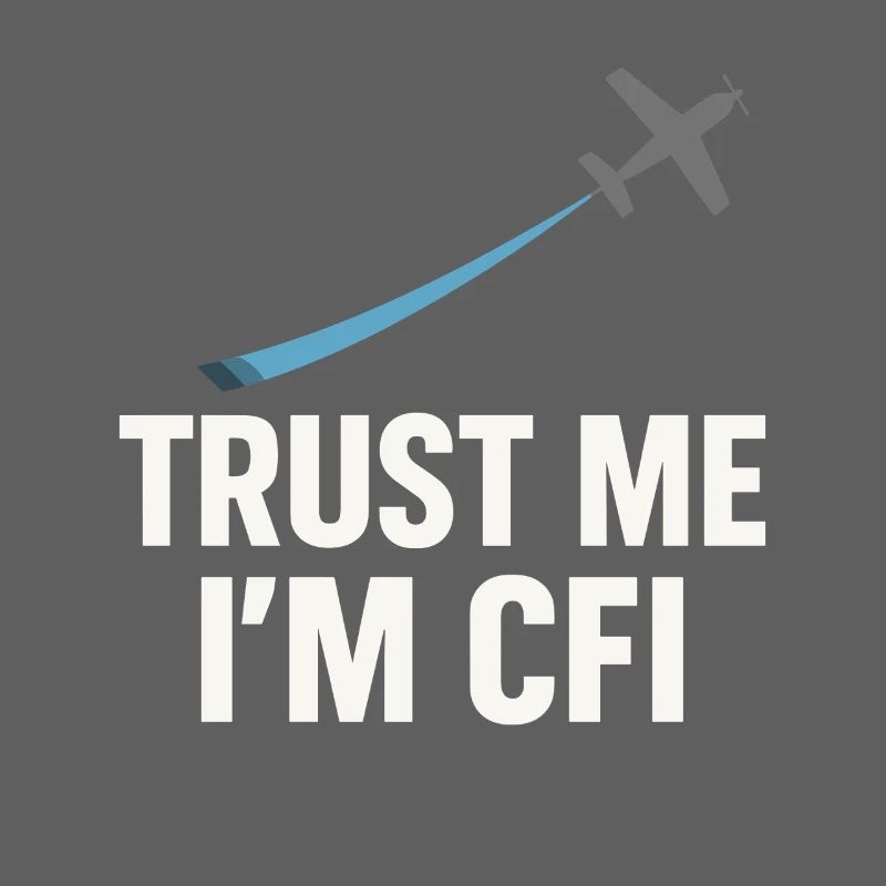 Flight Instructor Cfi Pilot Aviation Instructor