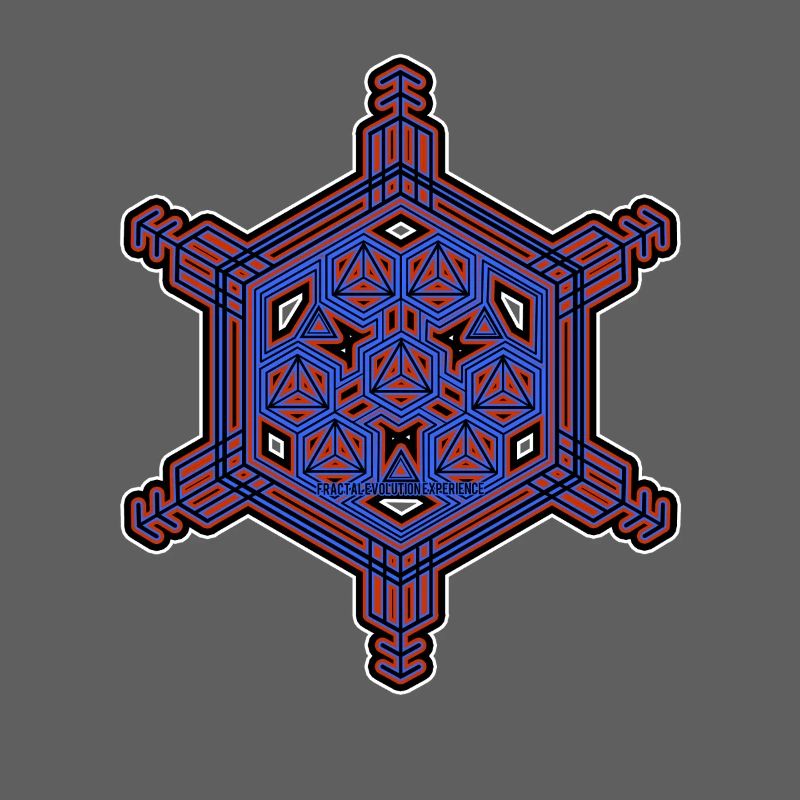 Fractal Evolution Experience Star Hexagon Pattern