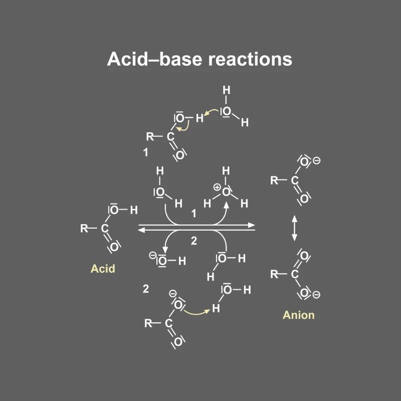 Réactions Acide Base Illustrées