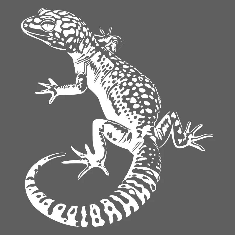 Gecko Leopard Gecko Contrast