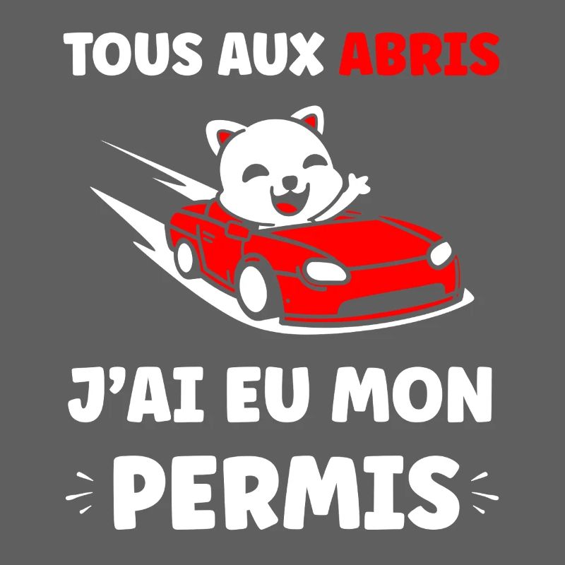 Panda in Red Cabrio Allowed