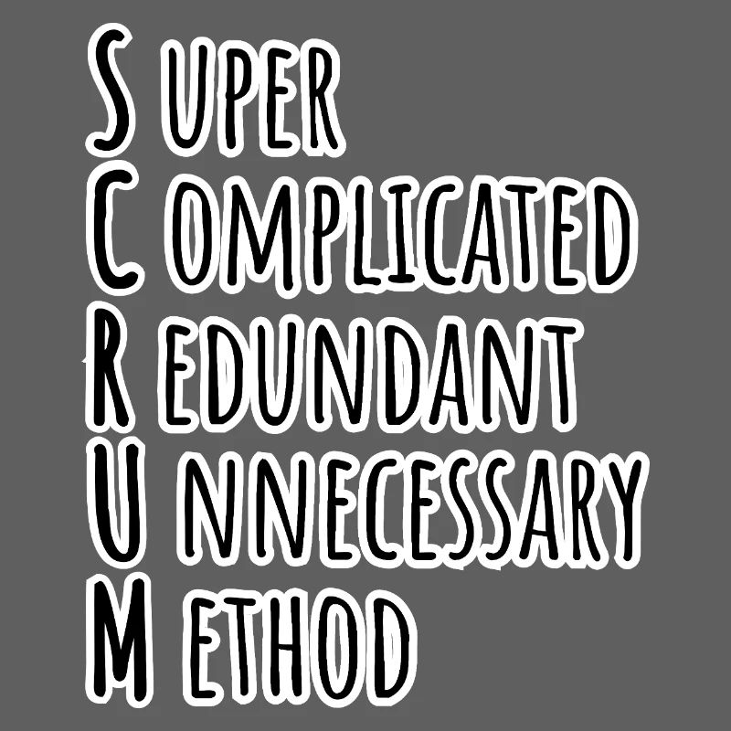 SCRUM Master has agilely developed the Daily Backlog Refinement