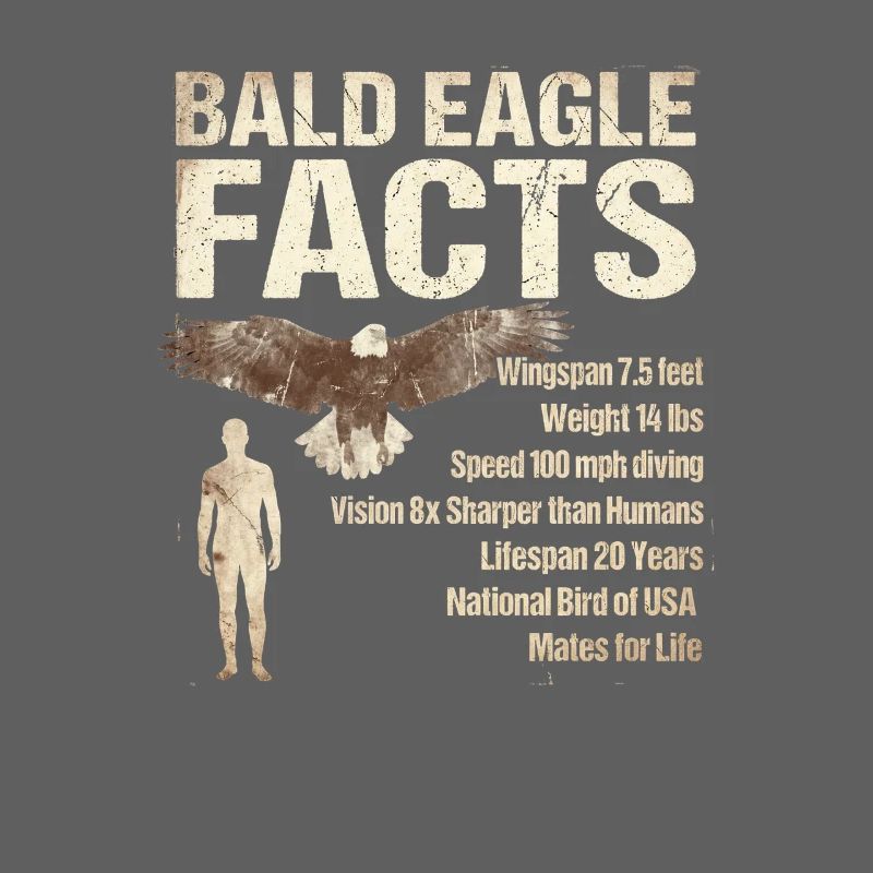 Bald Eagle Facts Bald Eagle Info