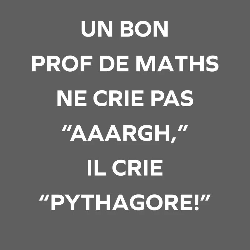 Prof de maths crie Pythagore
