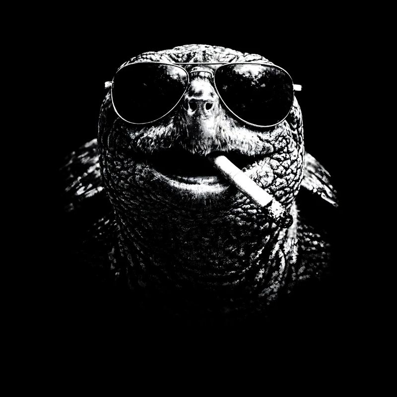 Schildkröte mit Sonnenbrille und Zigarette