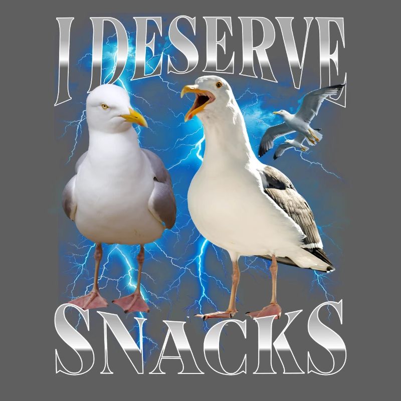 Seagulls Bootleg Design I Derserve Snacks