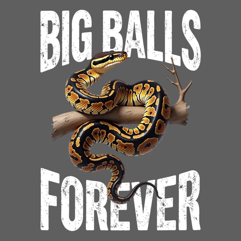 King Python Snakes Lover Terrarium Python