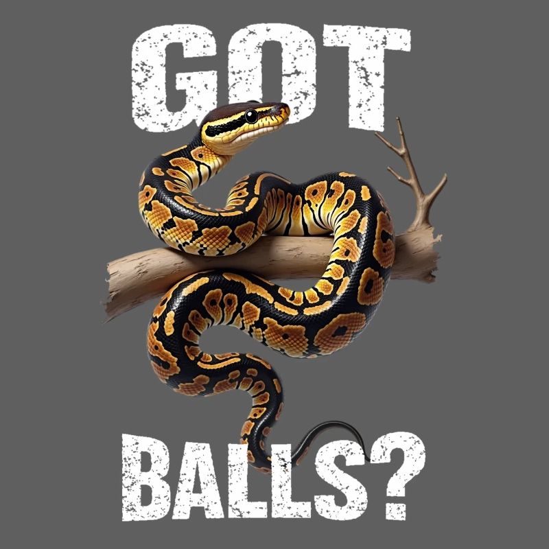 Python roi Serpents Amateurs de terrarium Python