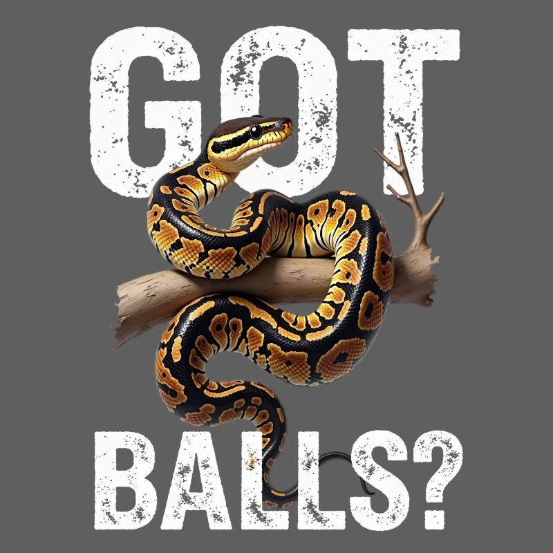 Python roi Serpents Amateurs de terrarium Python