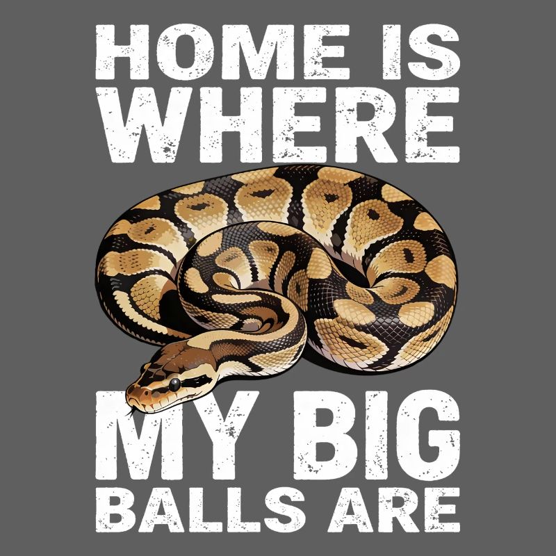 King Python Snakes Lover Terrarium Python