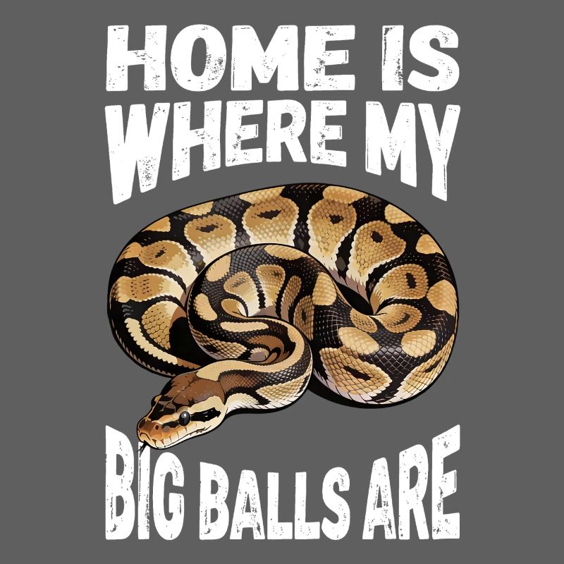 Python roi Serpents Amateurs de terrarium Python