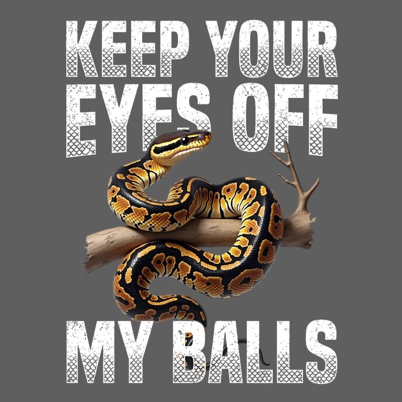 Königspython Schlangen Liebhaber Terrarium Python