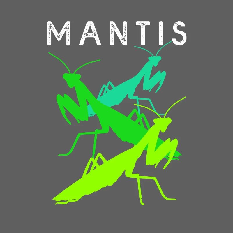 Gottesanbeter Gottesanbeterin Mantis
