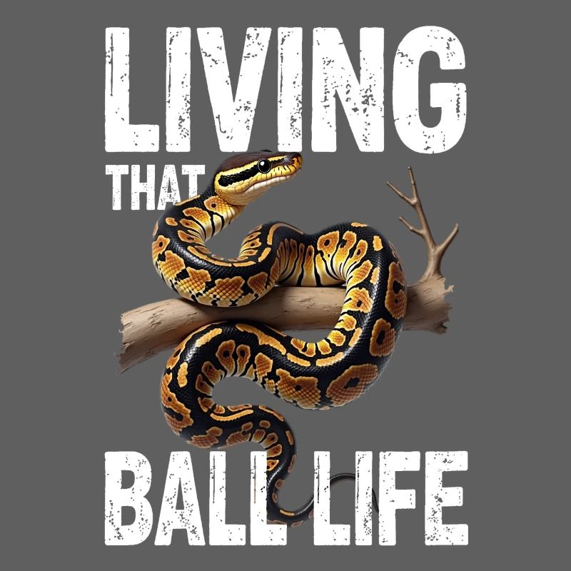 Python roi Serpents Amateurs de terrarium Python