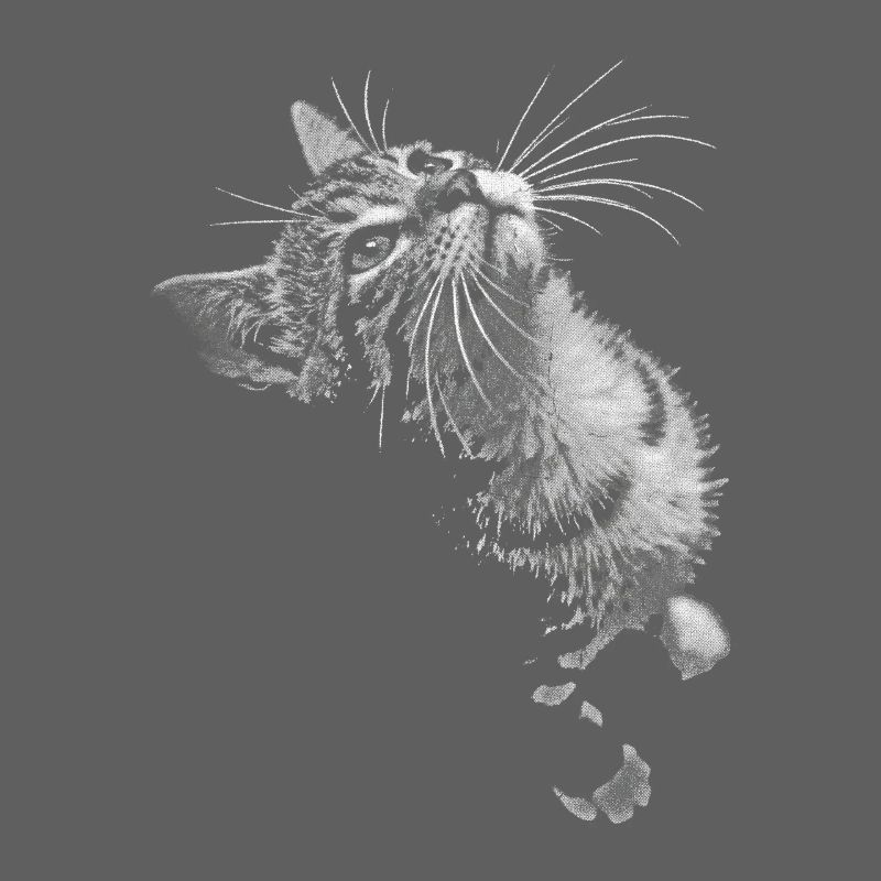 Grayscale Cat Purring Look