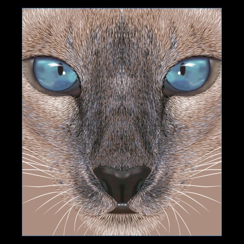 Siamkatze