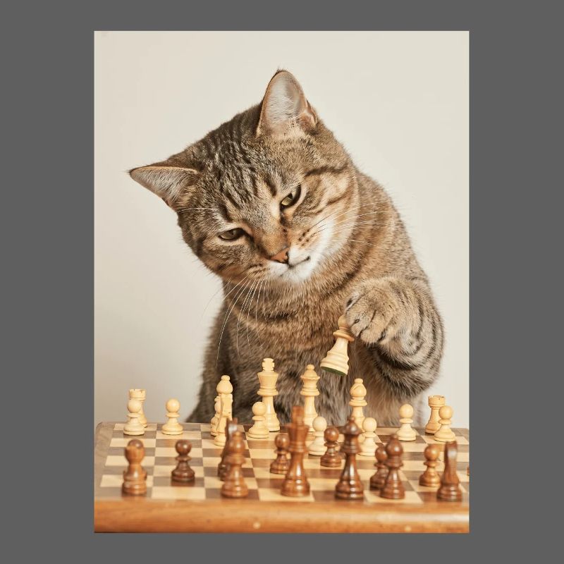 Cat playing chess