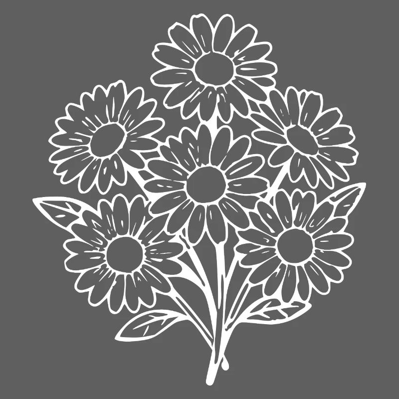 Fleur blanche Fleur blanche Fleurs Marguerites
