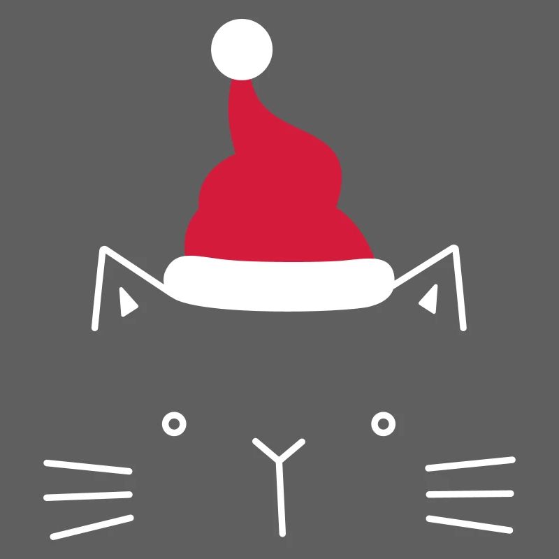 Chat face Père Noël cadeau de Noël