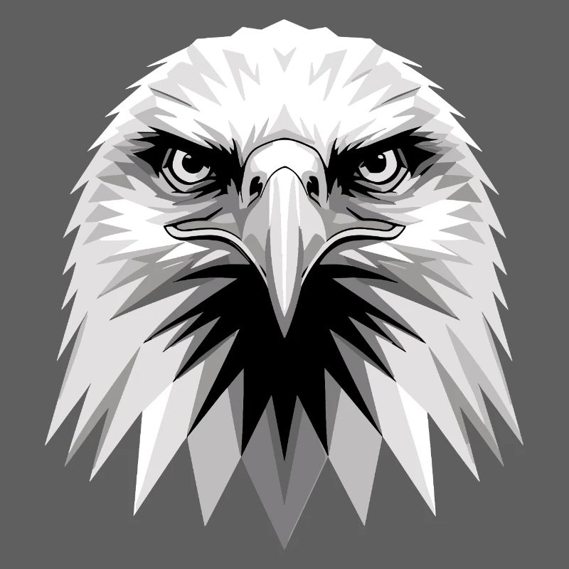 Aigle Pygargue à tête blanche Aigle royal Pygargue à queue blanche