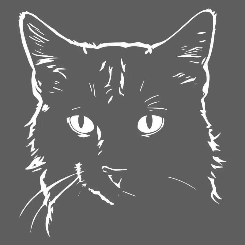 Chat 4