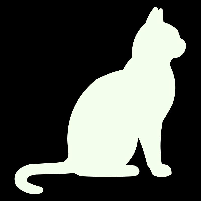 Moonlit Night Cat Silhouette
