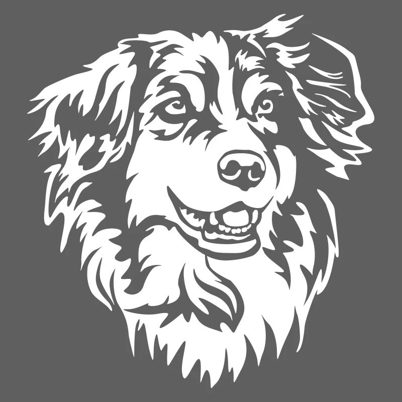 Australian Shepherd Kopf "Black Edition"