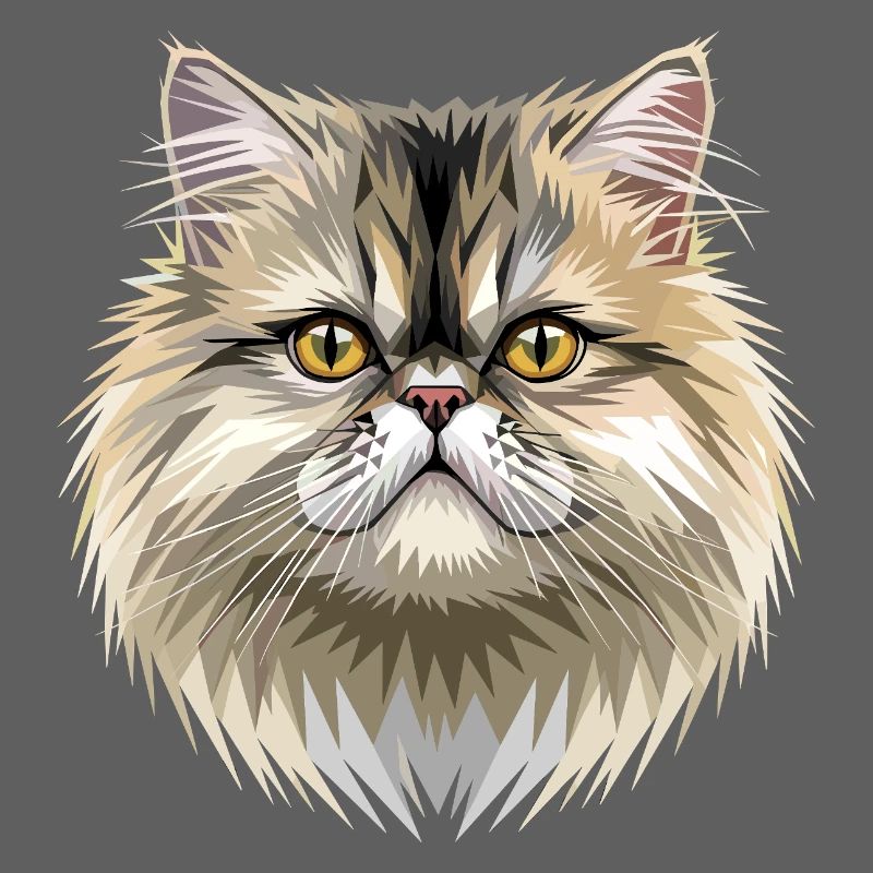 Chat perse Chat persan Chat persan Chat perse Chats mignons