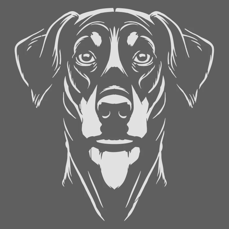 Dobermann