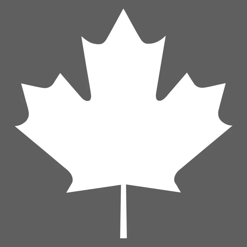 Une feuille d'érable
