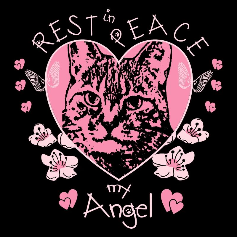 Katzen Engel