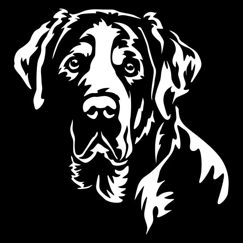 Großer Schweizer Sennenhund Kopf "Black Edition"