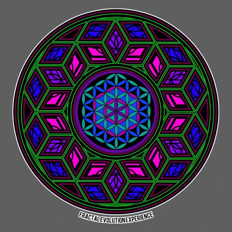 Expérience d’évolution fractale Kaléidoscope Mandala