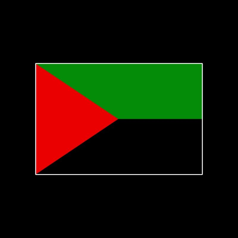 Drapeau de la Martinique rouge vert noir