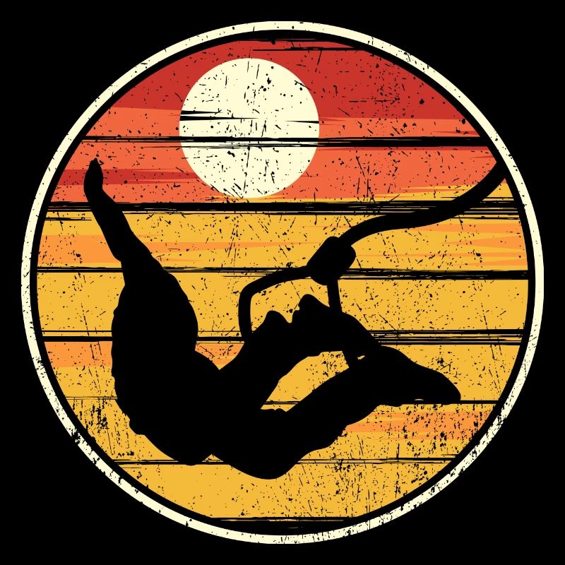 Vol Silhouette Coucher de Soleil
