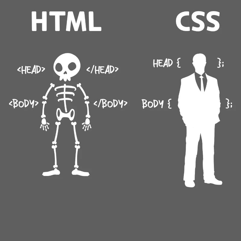 Code Css C++ Php Java Developer Code Skripting