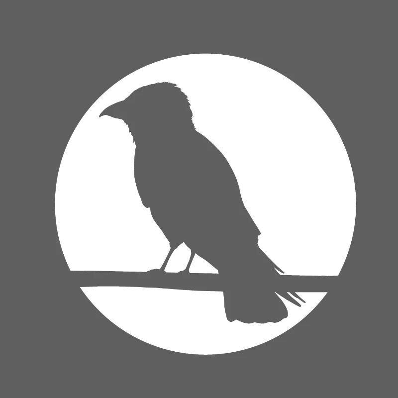Corbeau sur une branche