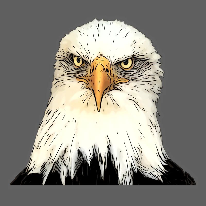 Adlerkopf Illustration mit intensivem Blick