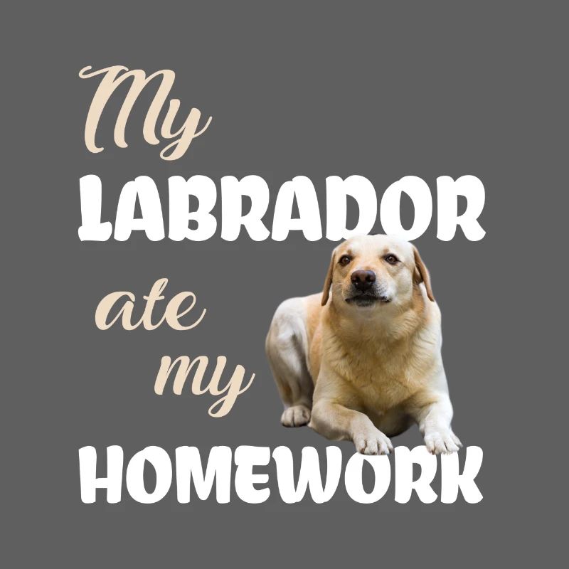 Labrador Homework