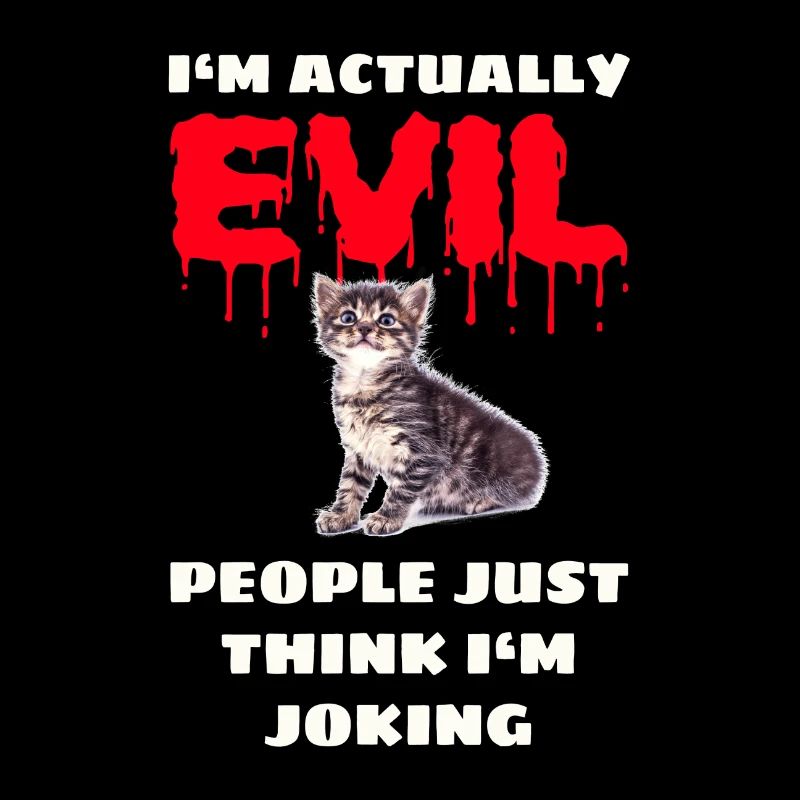 Mauvais chaton