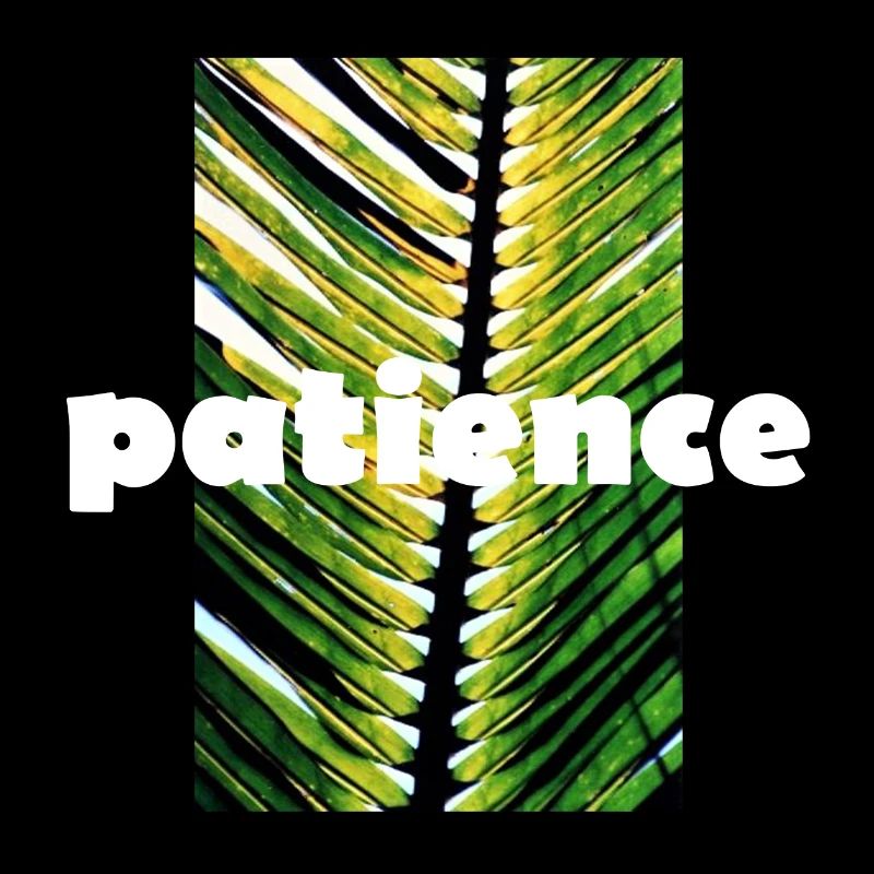 PATIENCE