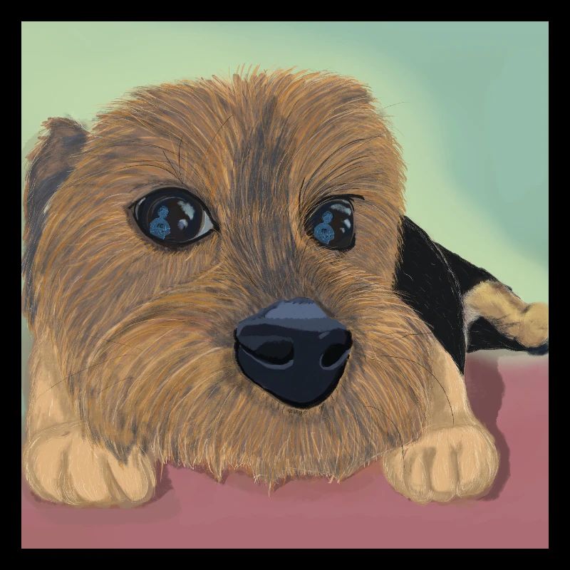 Yeux de chien ou réflexe d’amour