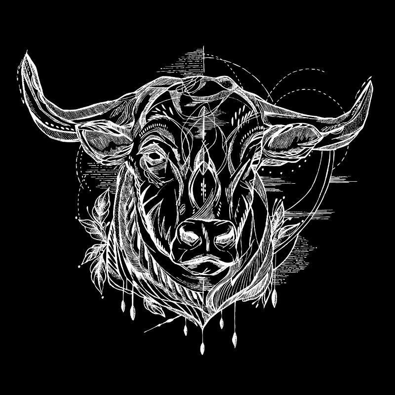 Stierkopf - Stier